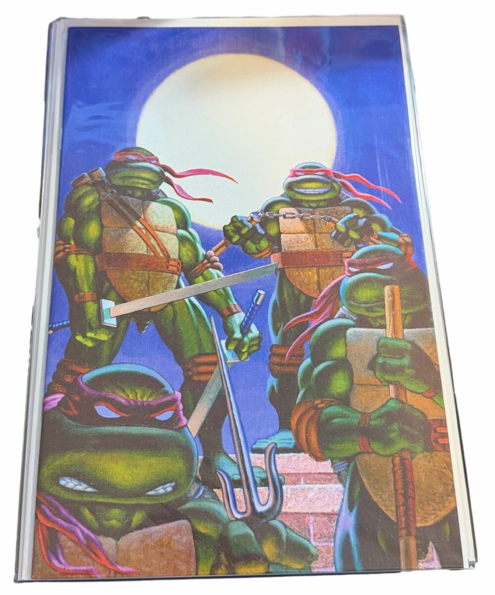 Teenage Mutant Ninja Turtles Journeys Kevin Eastman Variant AP with COA